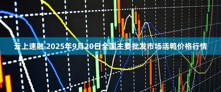 云上速融 2025年9月20日全国主要批发市场活鸭价格行情
